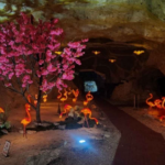 [심층분석] 충주 활옥동굴, 강제철거 위기에서 법원의 제동까지! 지금 무슨 일이