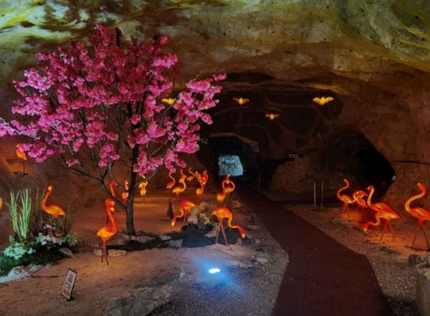 [심층분석] 충주 활옥동굴, 강제철거 위기에서 법원의 제동까지! 지금 무슨 일이